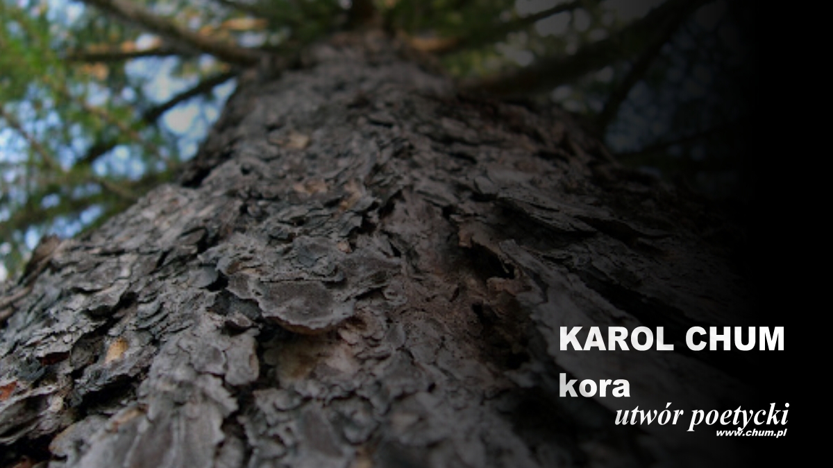 🔖Karol Chum: kora /236/ ℗ ☢