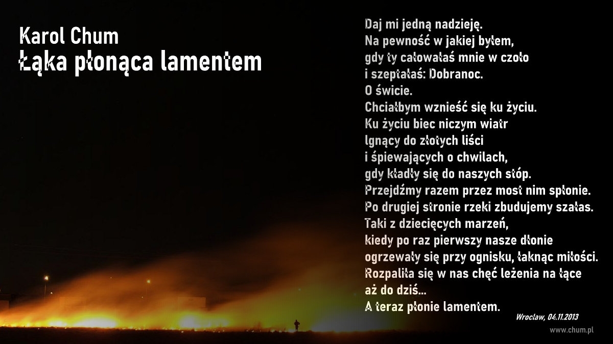 🔖Karol Chum: Łąka płonąca lamentem /223/