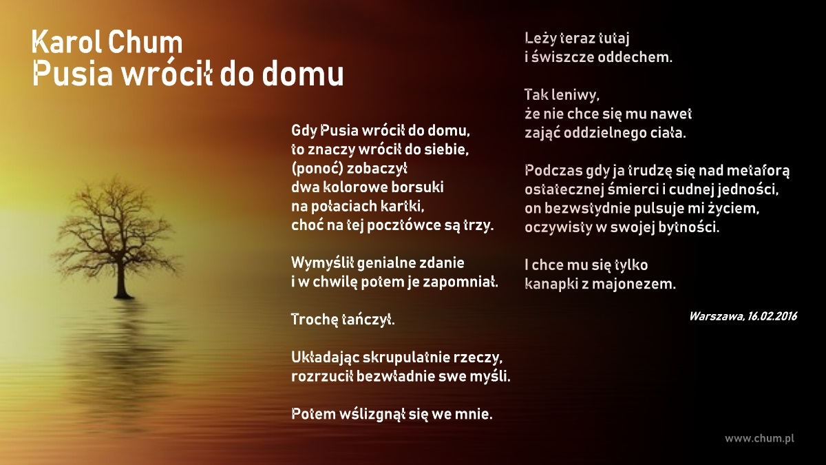 🔖Karol Chum: Pusia wrócił do domu /125/