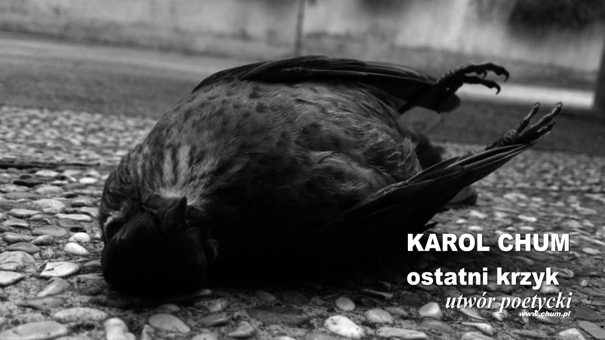 🔖Karol Chum: ostatni krzyk /455/ ℗