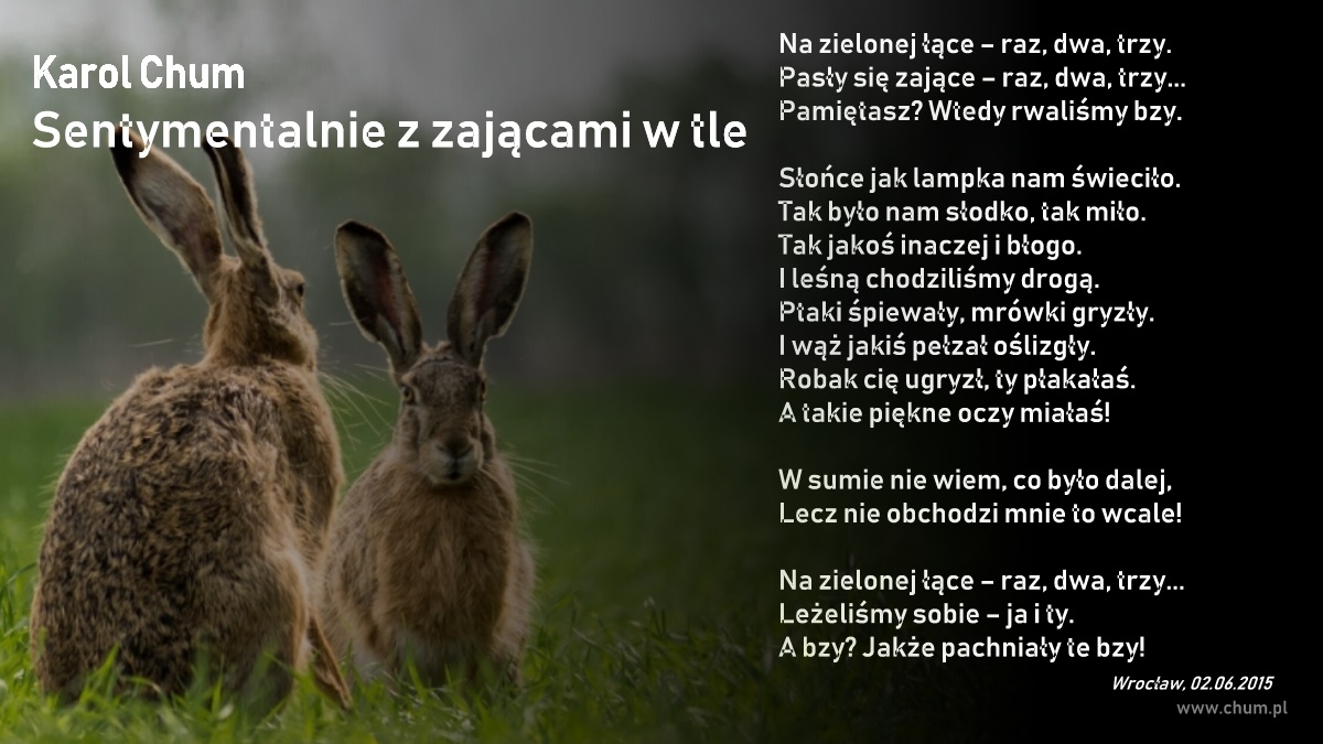 🔖Karol Chum: Sentymentalnie z zającami w tle /108/