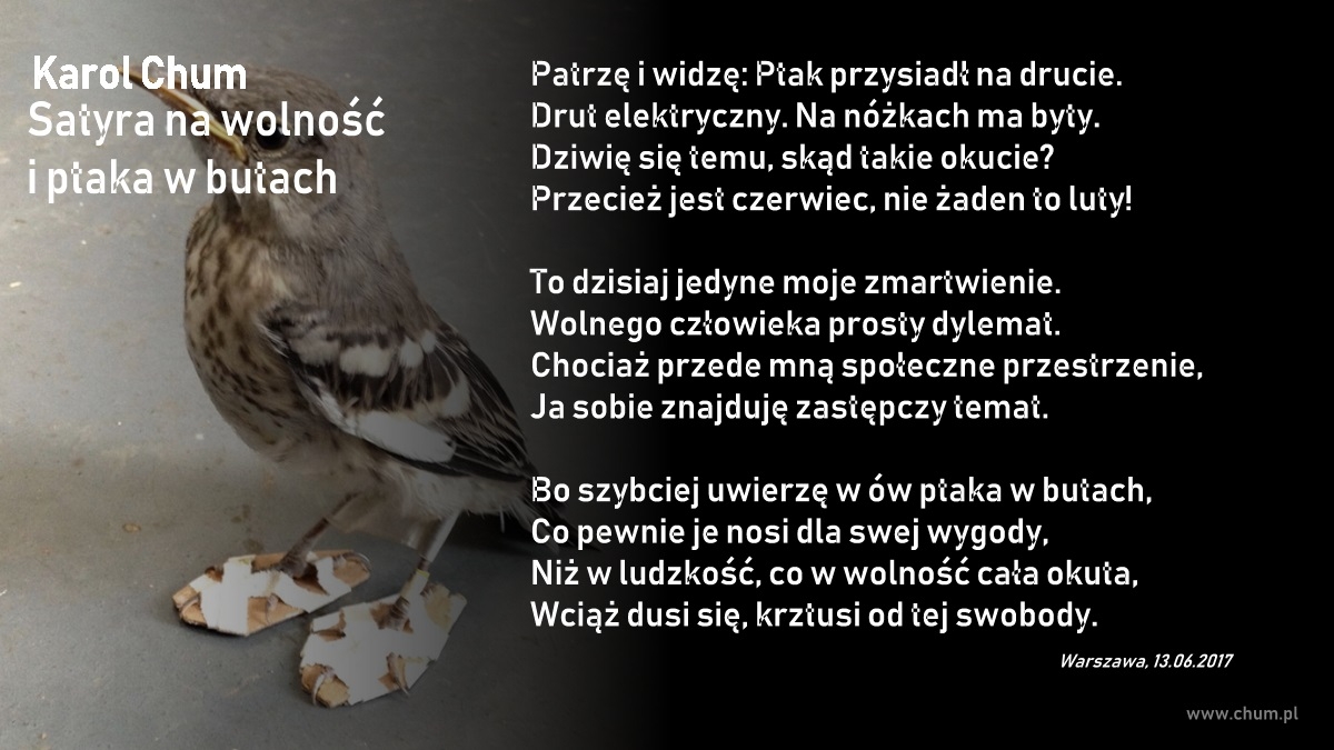 🔖Karol Chum: Satyra na wolność i ptaka w butach /111/